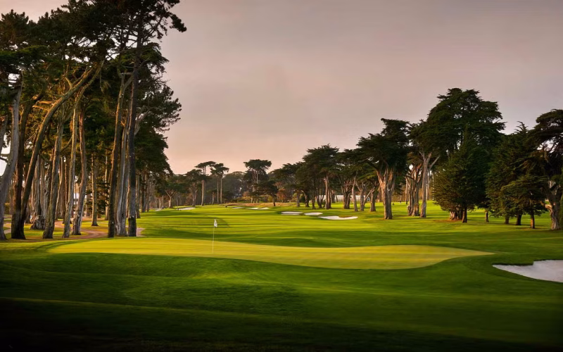 TPC-Harding-Park