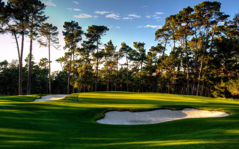 poppy_hills